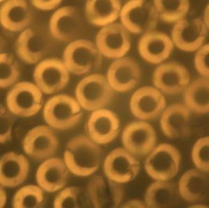 918博天堂(中国区)官方网站